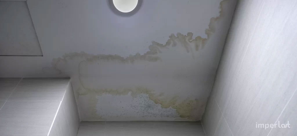 10 Beneficiosda da Borracha líquida