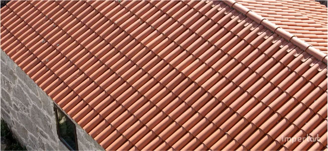 Infiltracao no telhado