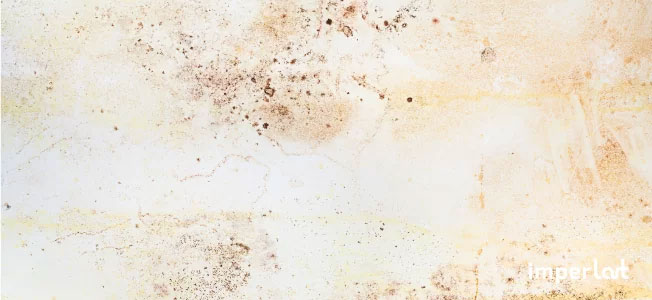  Infiltração na parede: como identificar e acabar com o problema