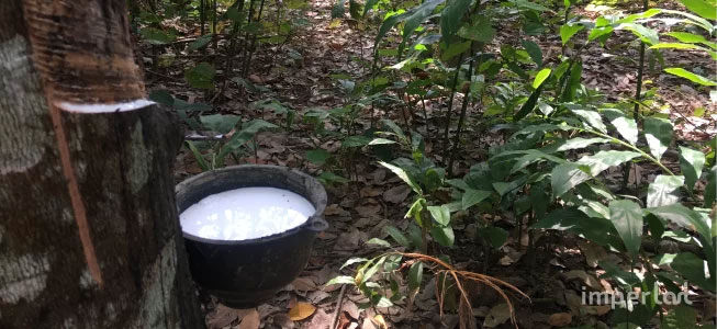 Borracha Líquida impermeabilizante: entenda tudo sobre essa tecnologia