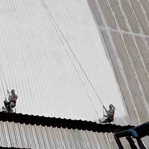 sementes-mineirao-02