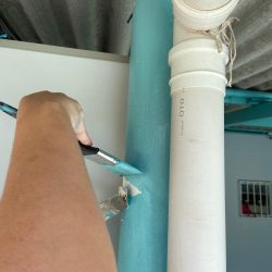 WhatsApp Image 2024-09-24 at 11.56.56